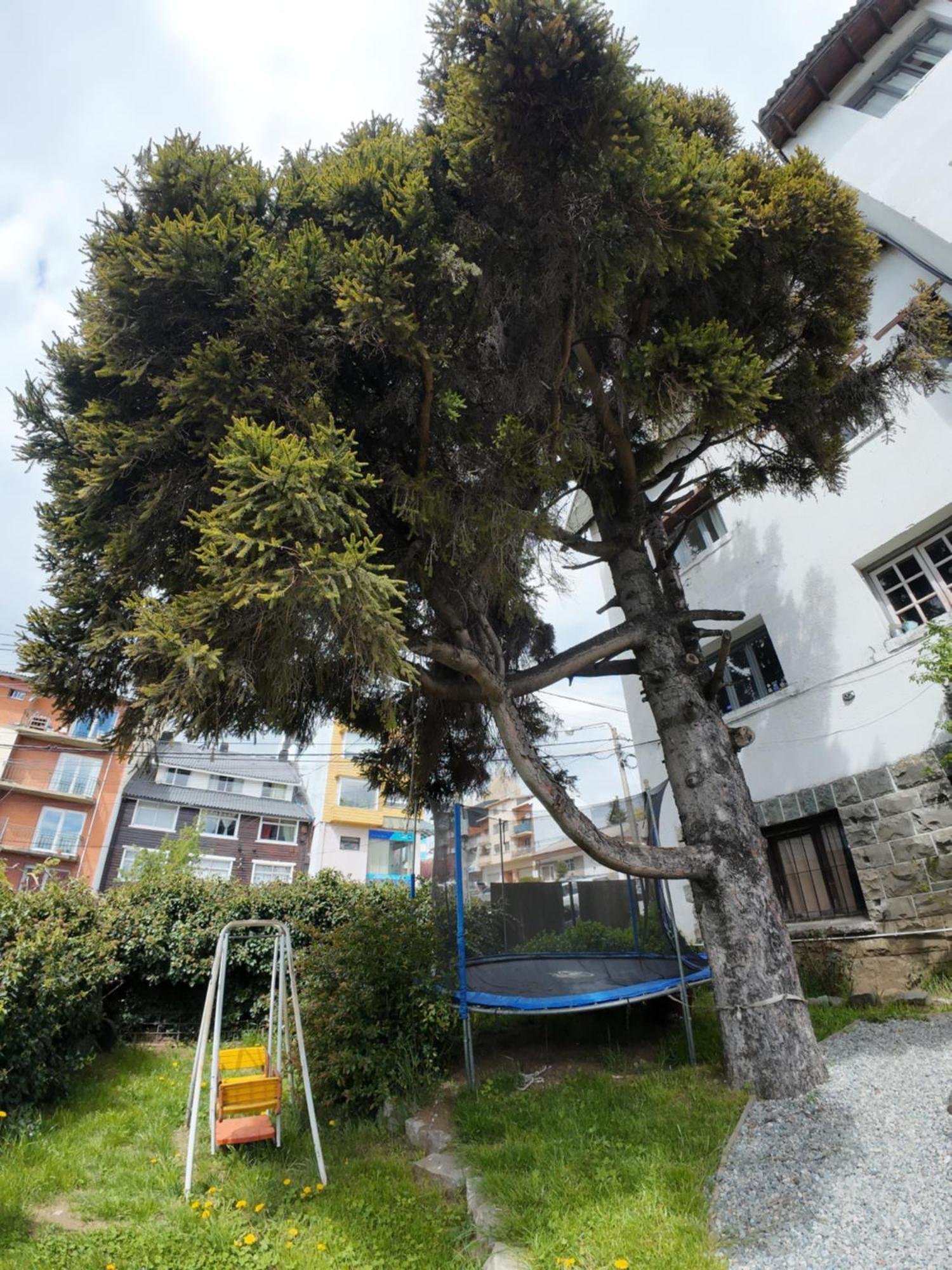 Temiscira Hostel サンカルロスデバリローチェ エクステリア 写真