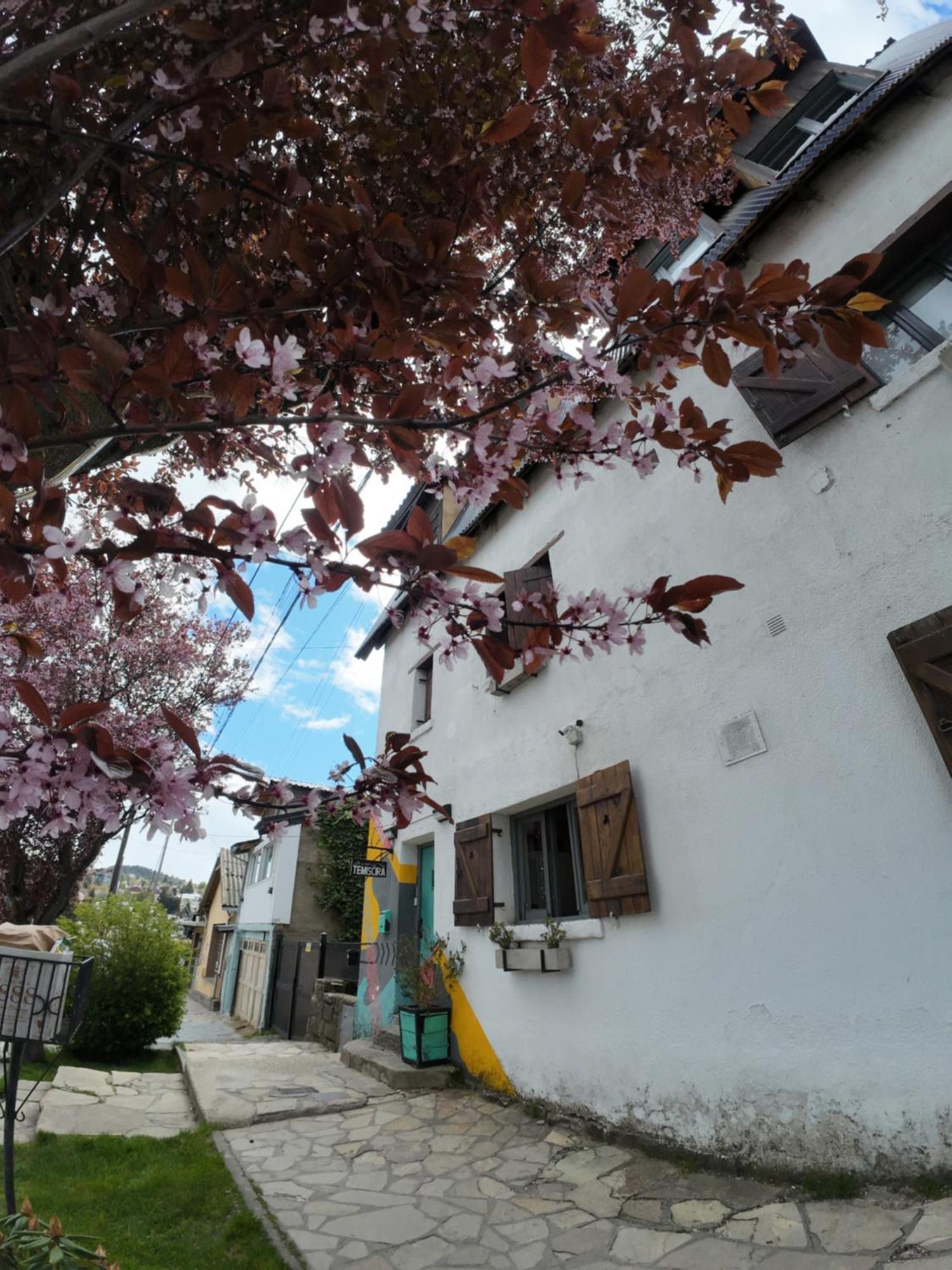 Temiscira Hostel サンカルロスデバリローチェ エクステリア 写真