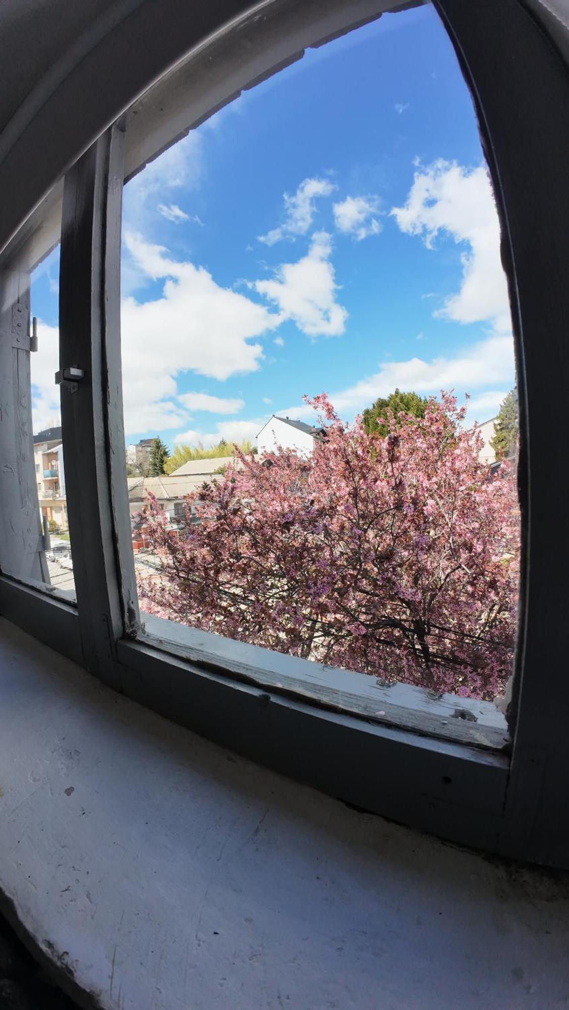 Temiscira Hostel サンカルロスデバリローチェ エクステリア 写真